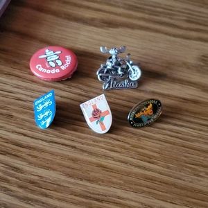 Travel pins